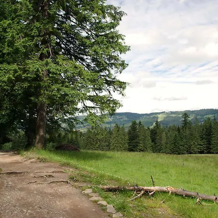 Alpesi faház Sekret Zakopane