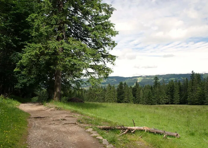 Chalet Sekret Zakopane